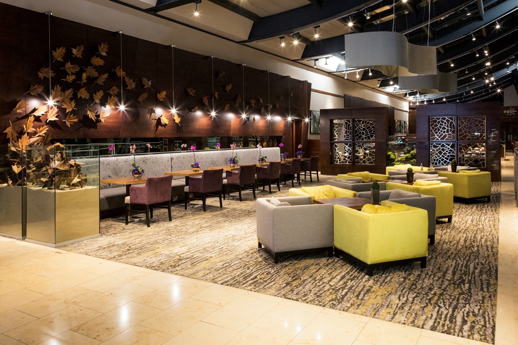 Mercure Sheffiled St Paul 8217s Hotel Amp SPA 6628